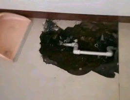 德兴卫生间测漏水多少钱